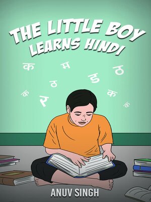 cover image of The Little Boy Learns Hindi